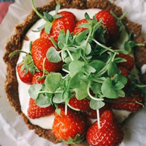 Strawberry Chocolate Tart