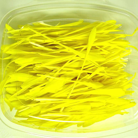 Succulent Popcorn Shoots The Microgreen Team