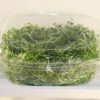 Our fresh zesty Mustard Greens in compostable packaging