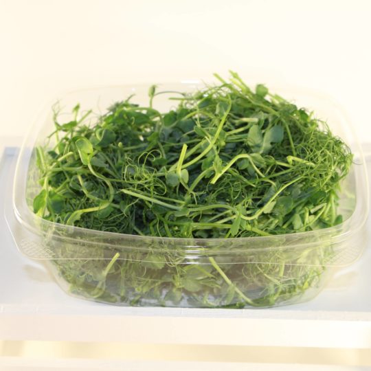 Our sweet Pea Tendrils in compostable packaging