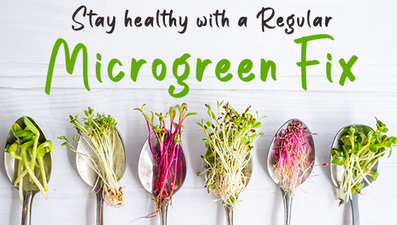 Subscribe to your weekly Microgreen Fix