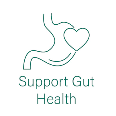 Microgreen Powder supports gut health